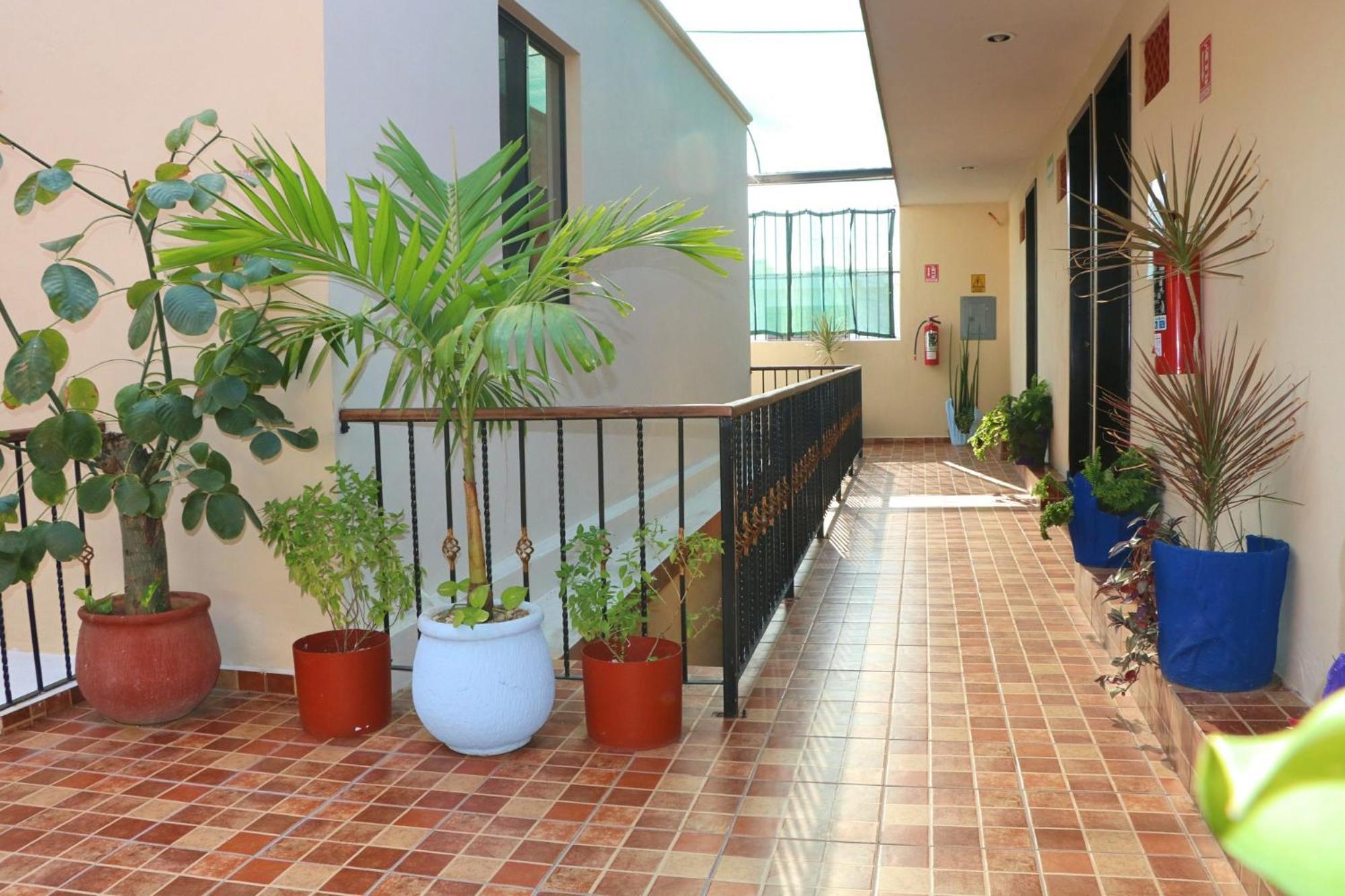 Hotel Casa Pellegrin Mérida Eksteriør bilde