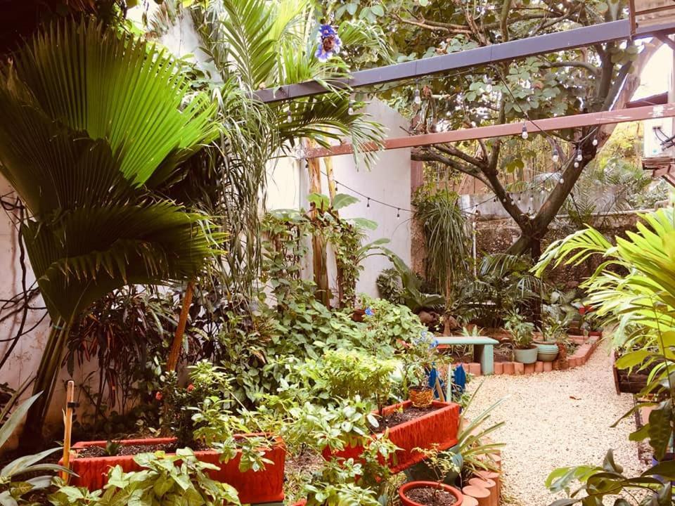 Hotel Casa Pellegrin Mérida Eksteriør bilde