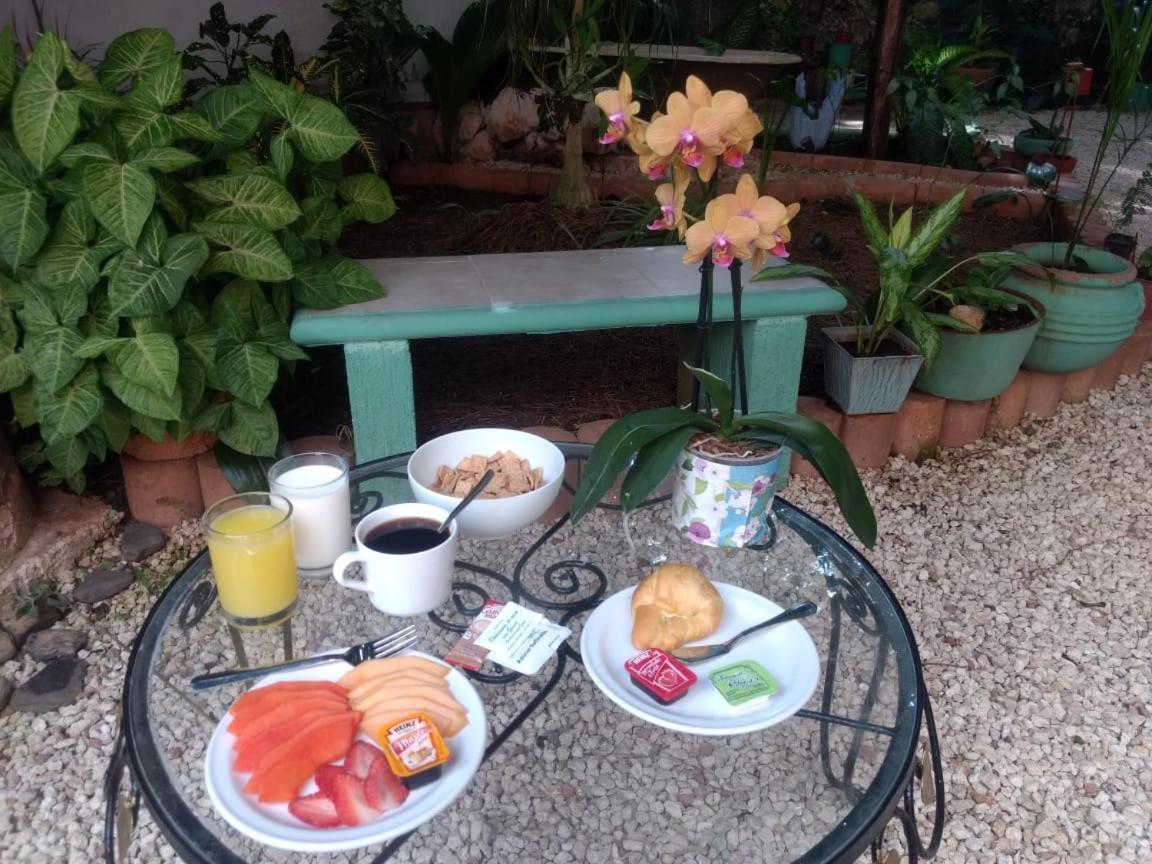 Hotel Casa Pellegrin Mérida Eksteriør bilde
