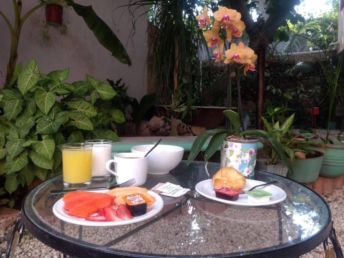 Hotel Casa Pellegrin Mérida Eksteriør bilde